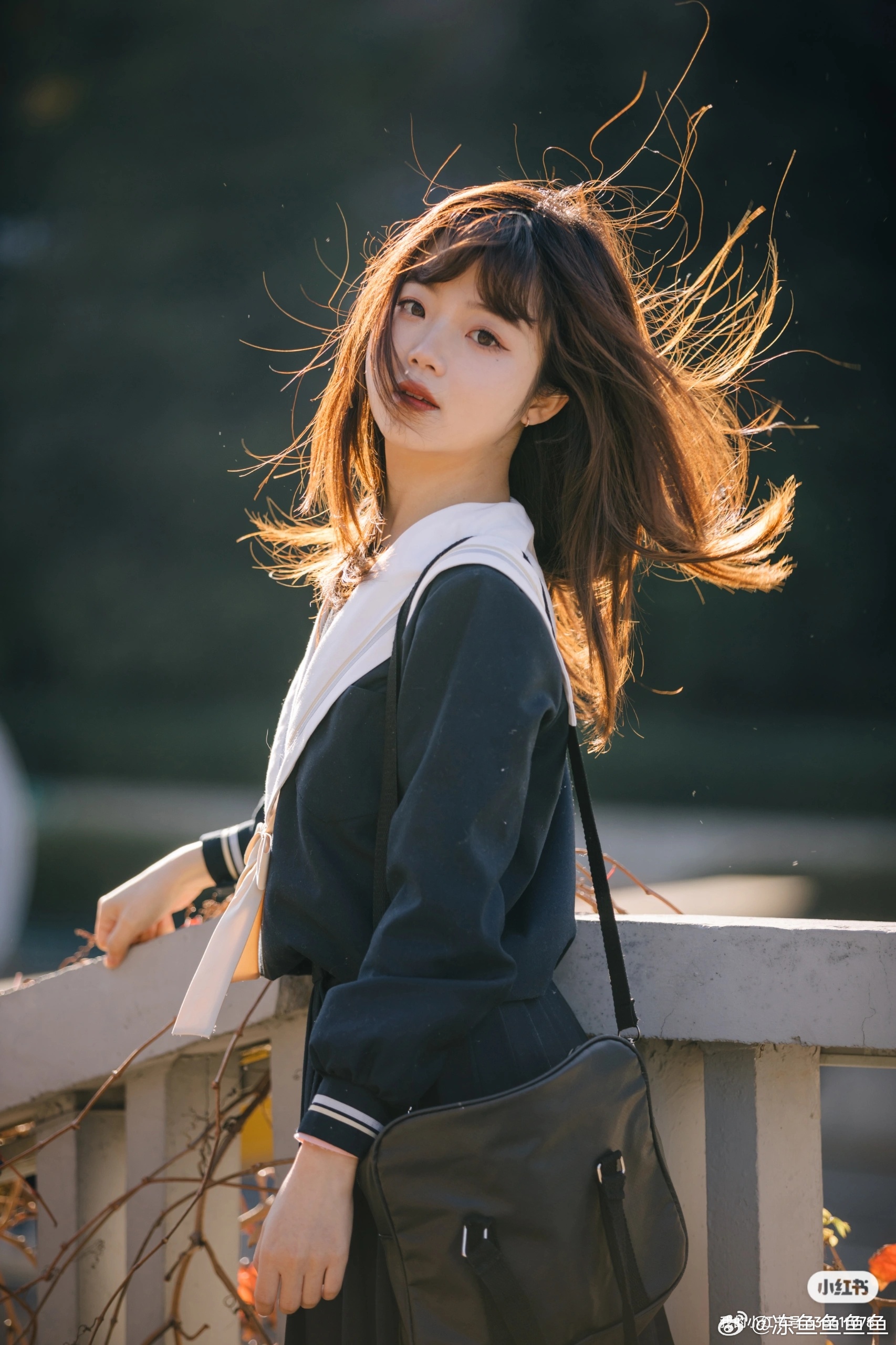 漫步在街上，冬日的暖阳。 不经意间看的美好@言盐盐盐-米哈社