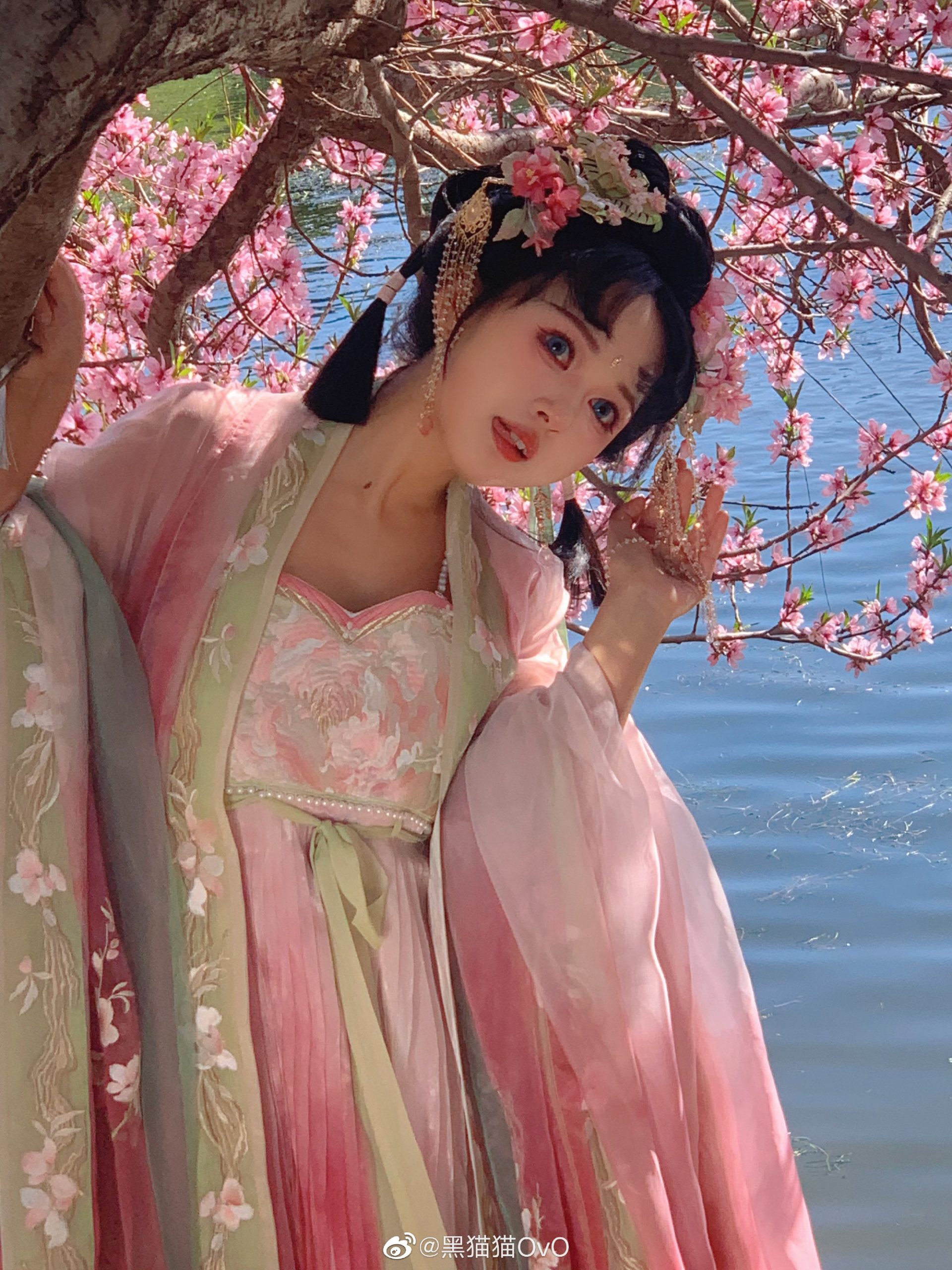 今天的风儿有些喧嚣(><。.°.。@黑猫猫OvO-米哈社